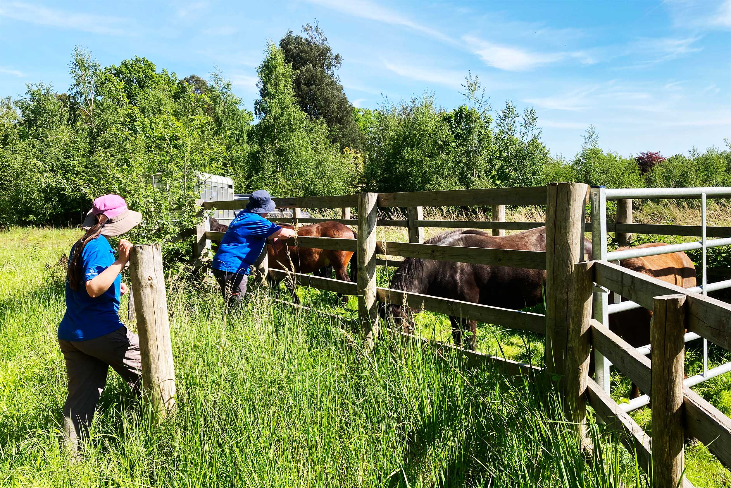 Staff checking on the ponies at The Lodge.