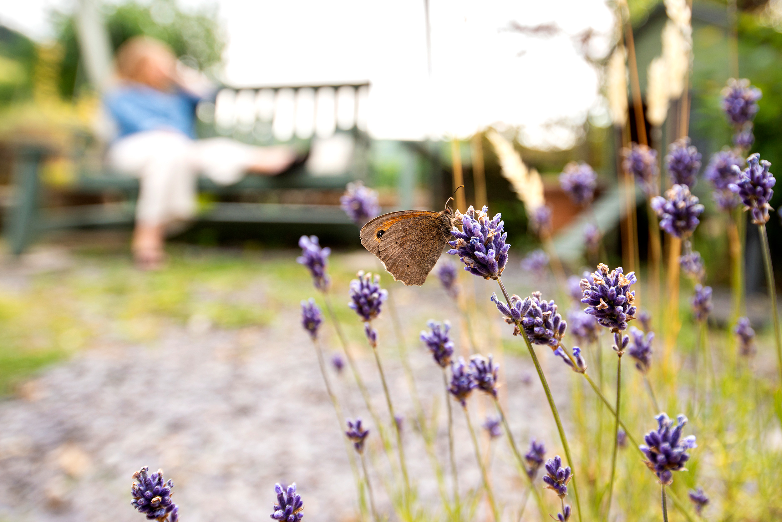 Woman sitting in nature with lavender and butterfly