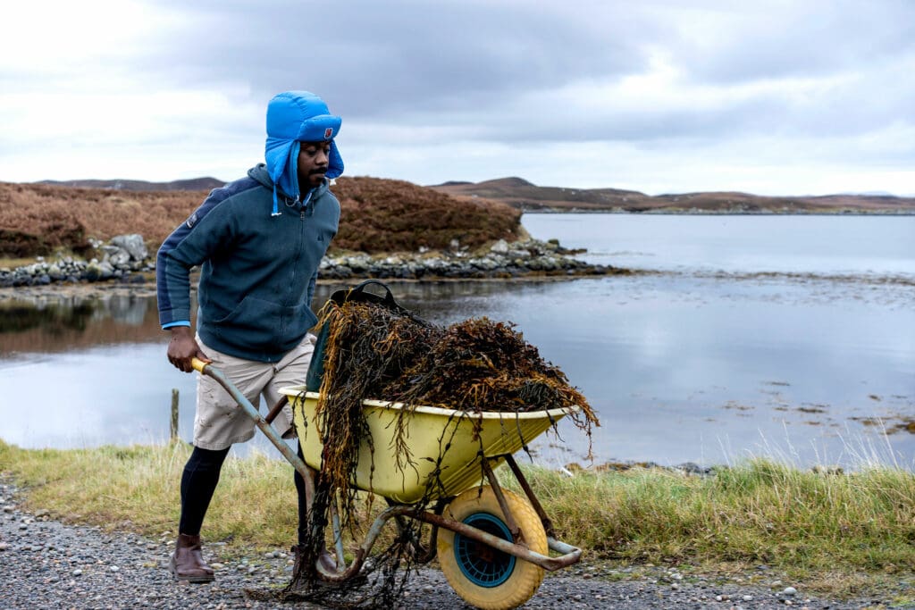 Alexander collecting seaweed to use on the land. Photo: Rachel Palmer