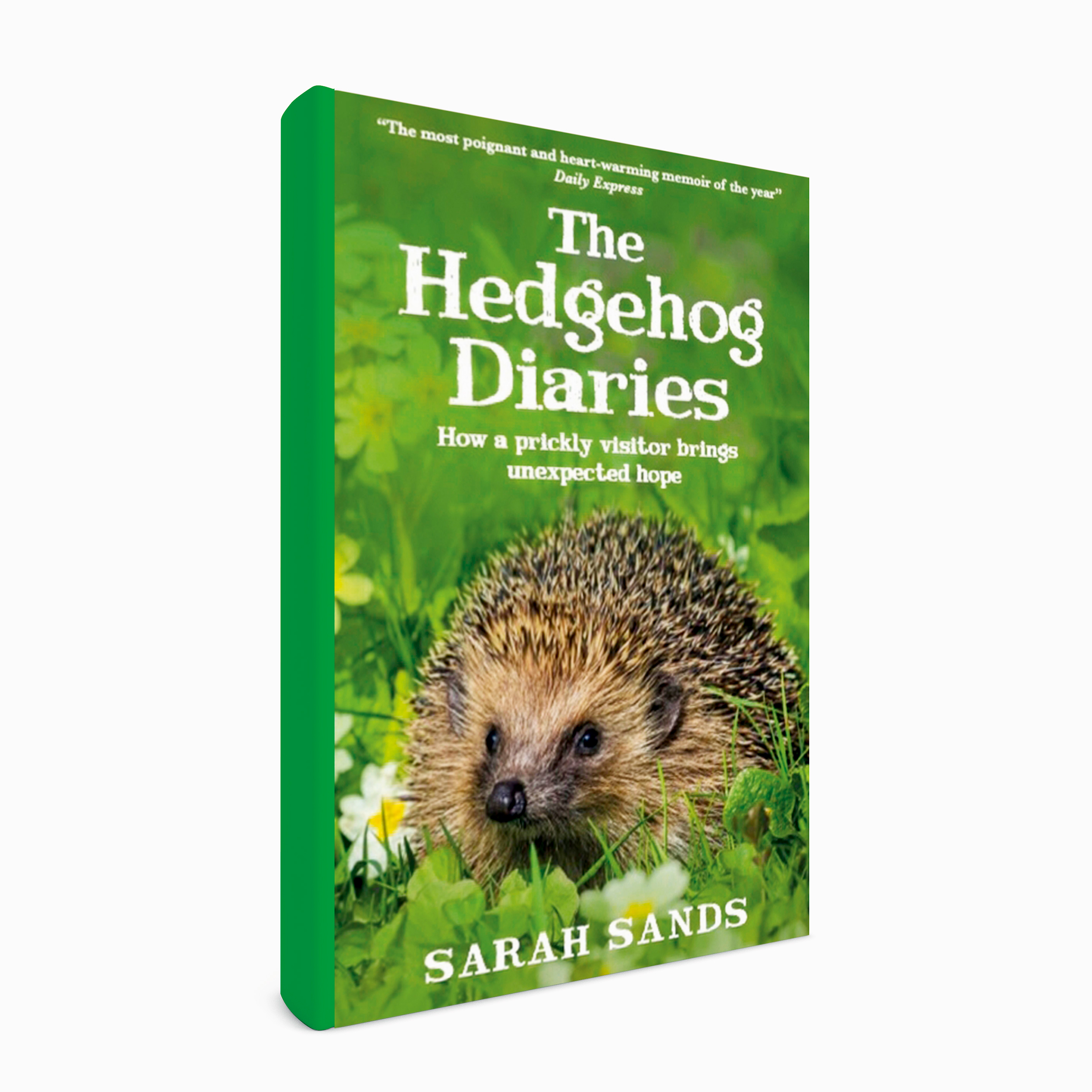 The Hedgehog Diaries. Photo: New River (publishers)