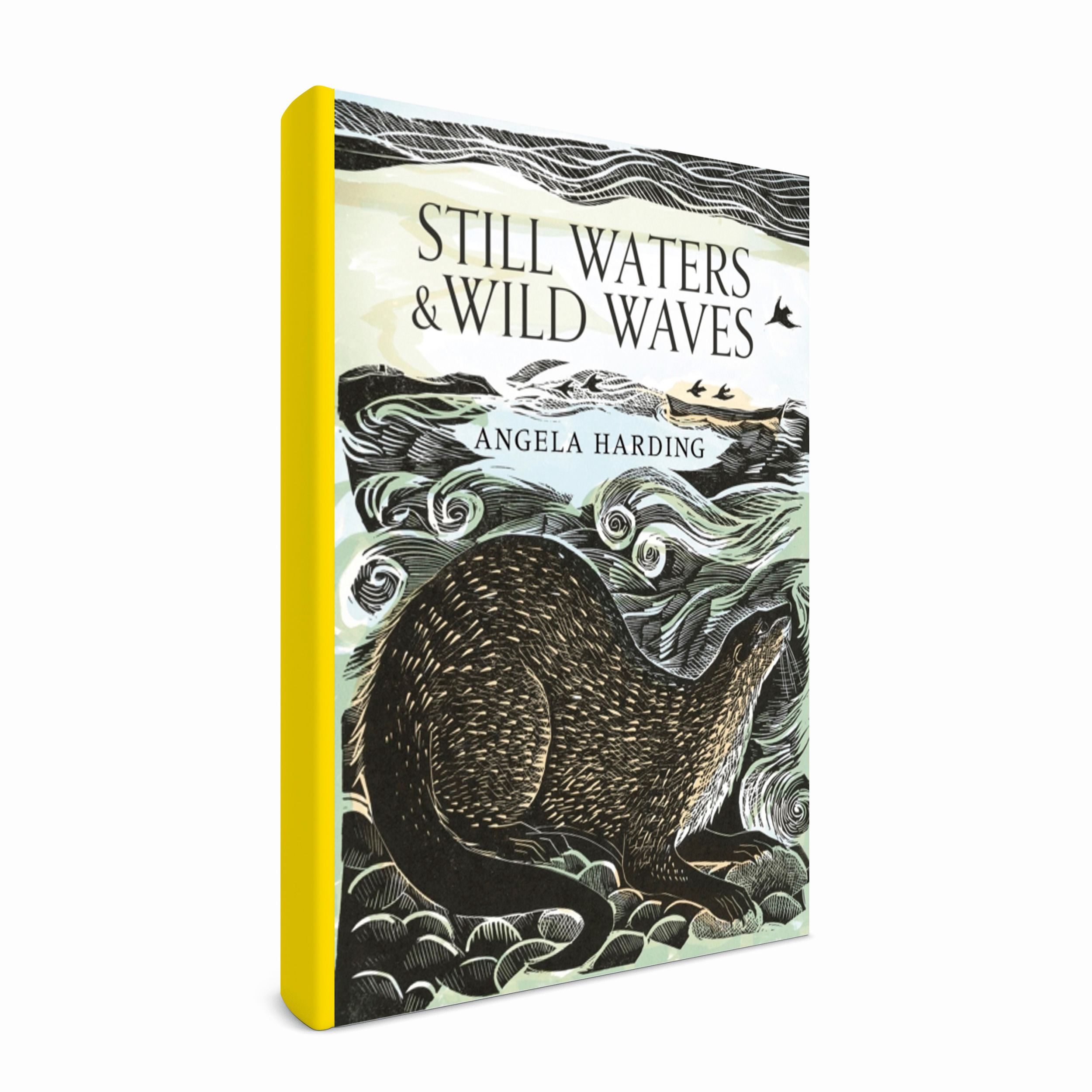 Still Waters & Wild Waves. Photo: Sphere (publishers)