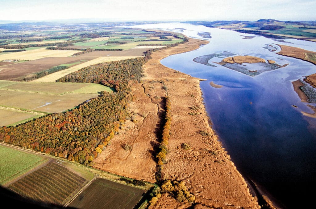 The Tay Reedbeds stretch for 11 miles from Perth to Dundee. Photo: Andy Hay (rspb-images.com)