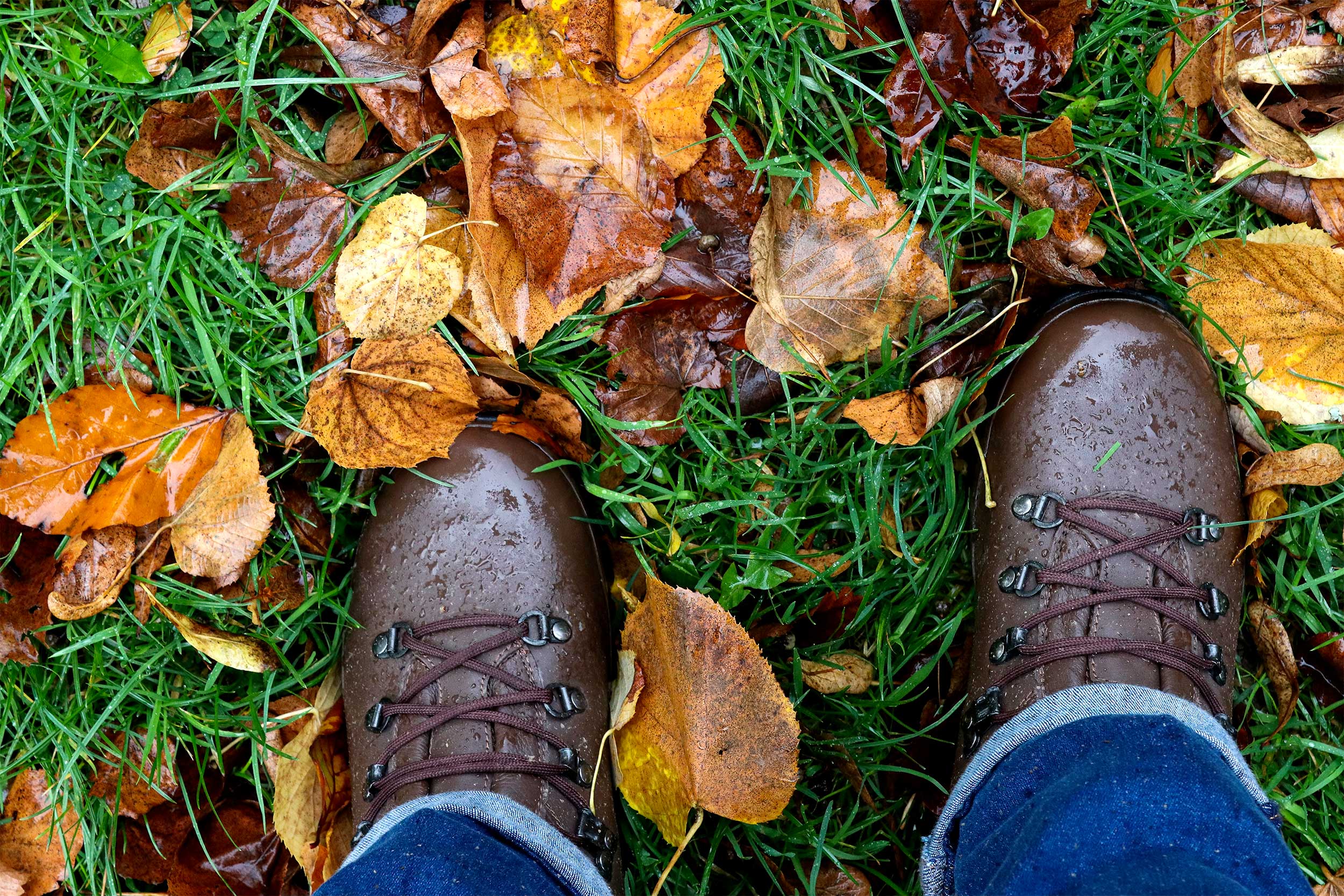 A pair of feet, wearing walking boots, standing in damp grass and fallen leaves