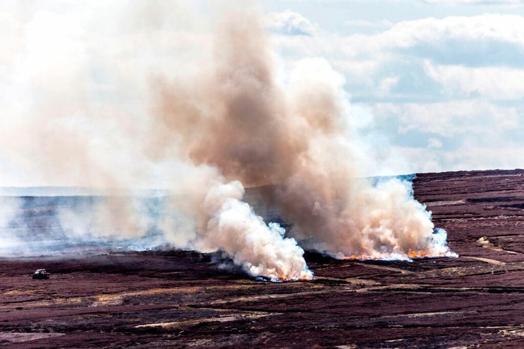 Burning, or muirburn, dries out peat, releasing the stored carbon into the atmosphere