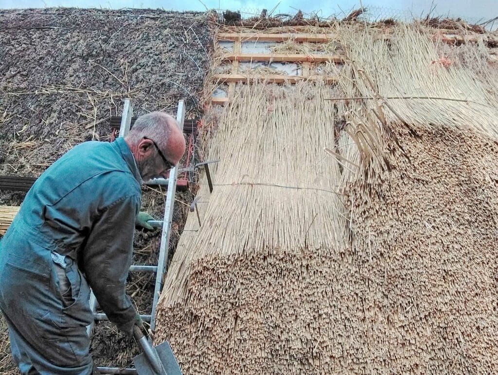 Work on a thatched roof of the Scottish Crannog Centre. Photo: RSPB