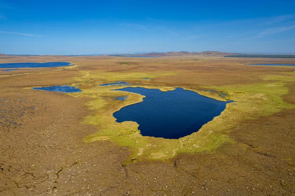 A large body of water at RSPB Forsinard Flows.