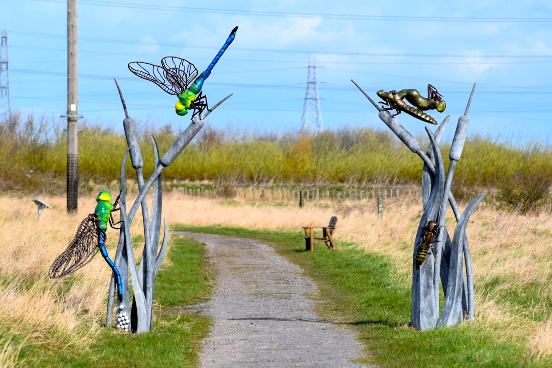 Sculptures either side of a winding path depicting the life cycle of a dragonfly. Reedbeds and hedgerow in the background.