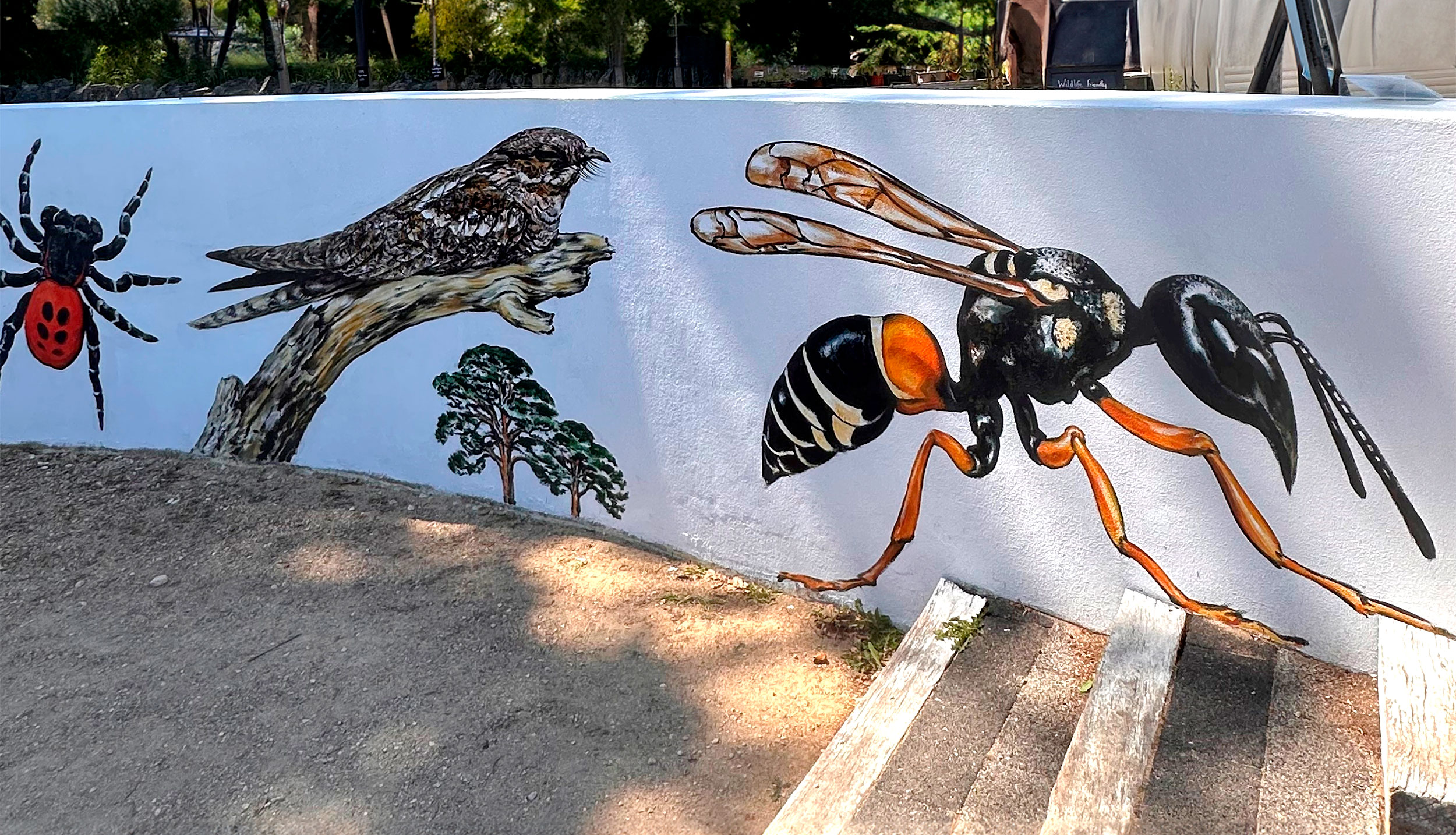 A mural on a curved white wall showing a red spider with black legs, a brown bird on a branch, trees and a black and orange wasp.