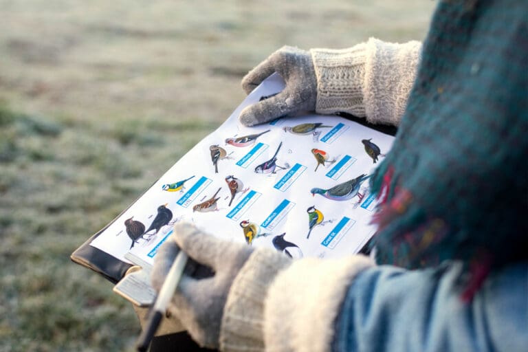 A Big Garden Birdwatch participant tallies up the birds they see.