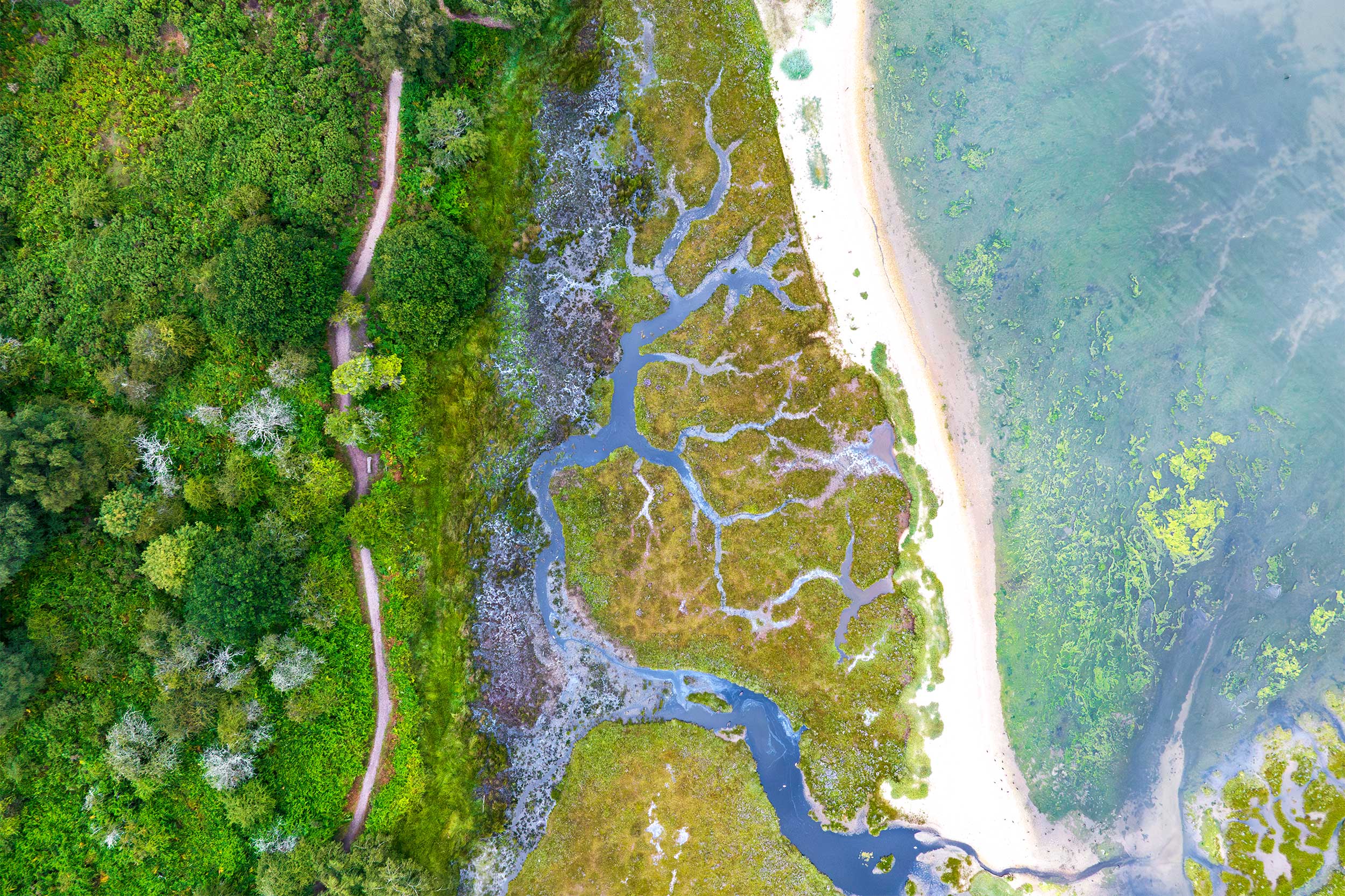 RSPB Arne from above.