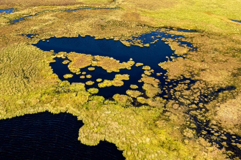 RSPB Forsinard Flows