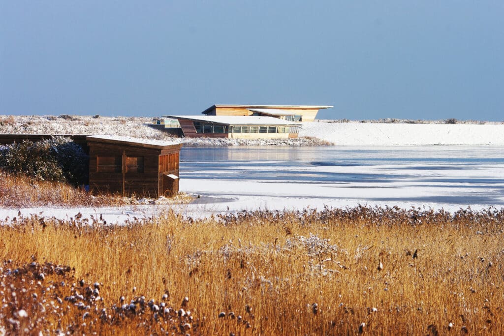 The Parrinder Hide overlooks the Freshwater Marsh, also known as Freshmarsh.