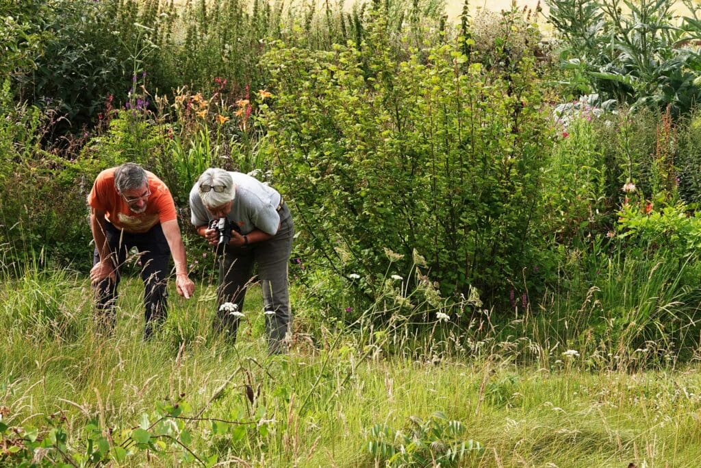 Megan and Mike monitoring wildlife in their Norfolk garden.