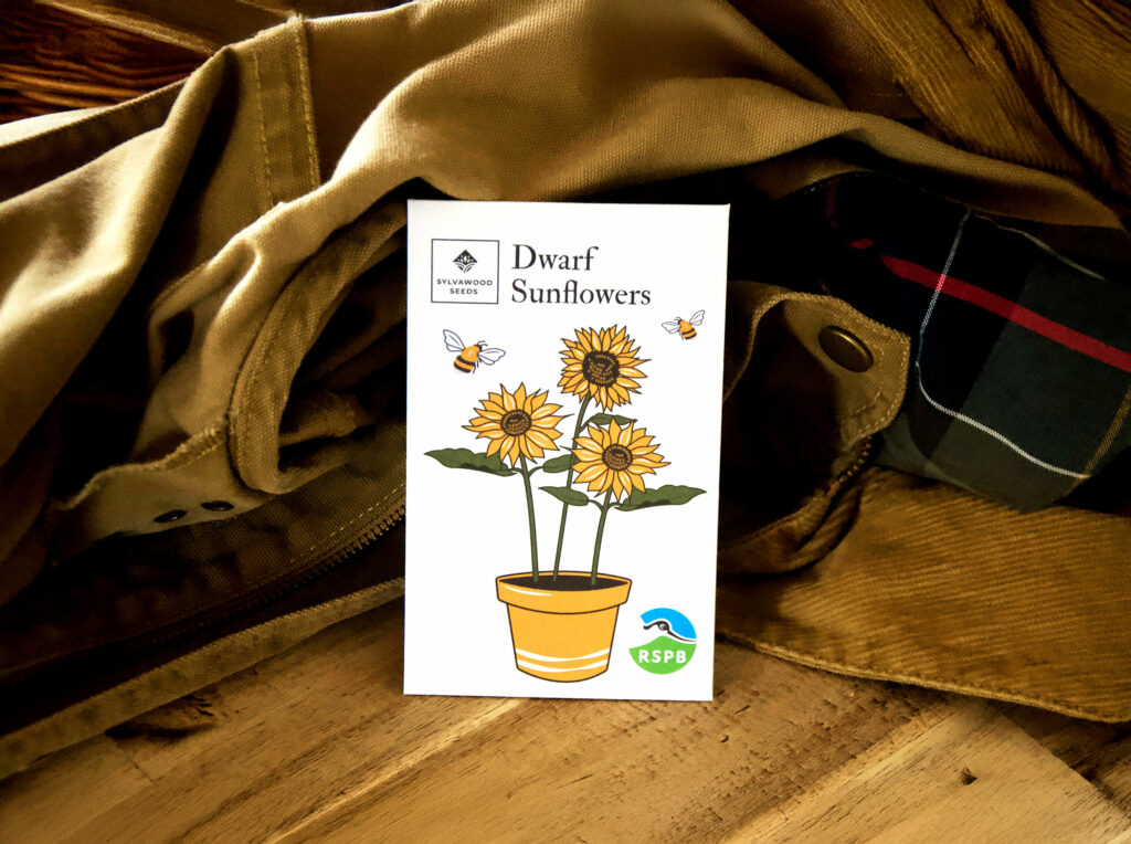 Dwarf Sunflower seed pack on a rustic background.