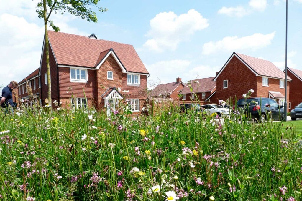 Kingsbrook housing estate