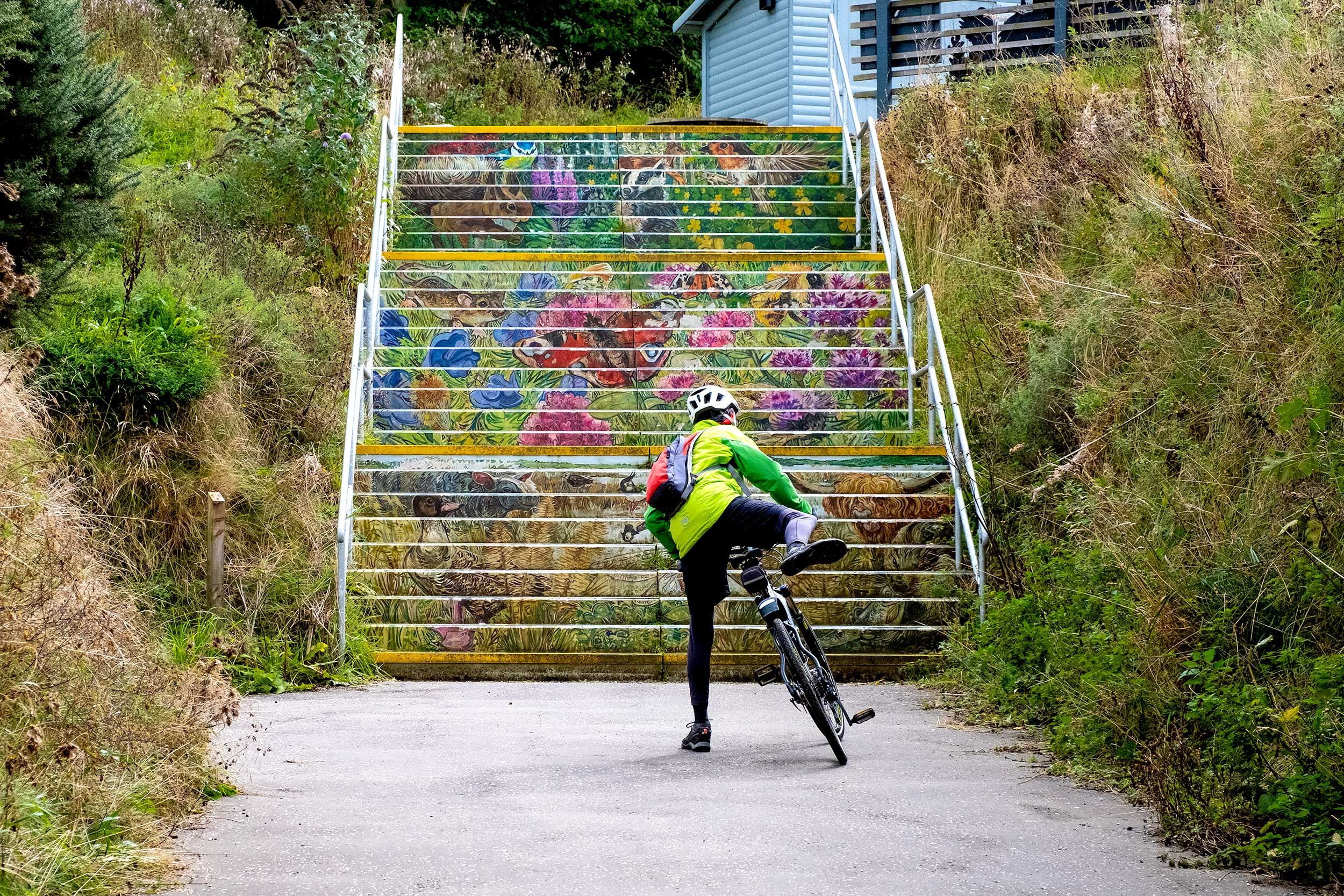 A cyclist dismounting in front of outdoor steps painted with wildlife images.