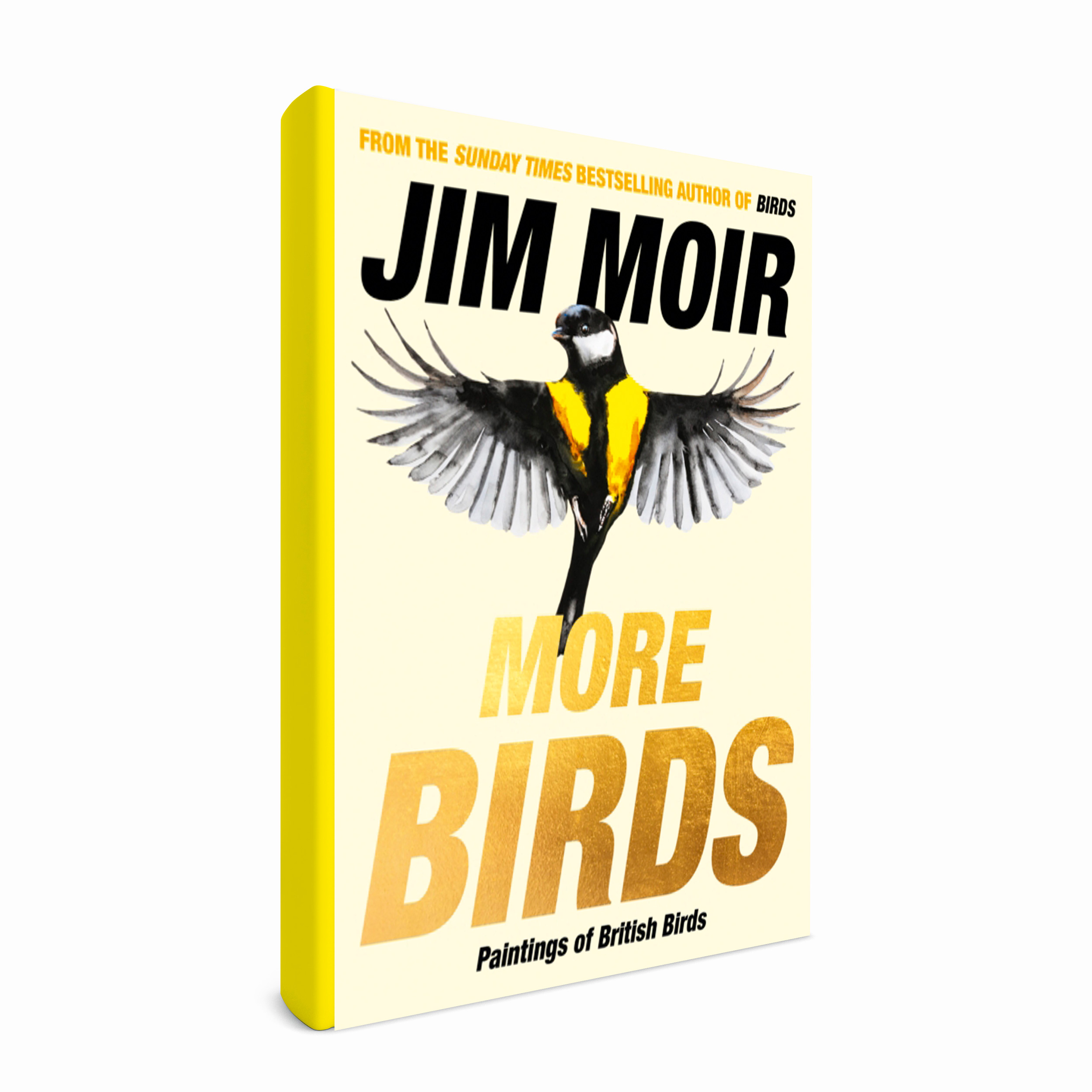 More birds: Paintings of British Birds by Jim Moir (Vic Reeves). Publisher: Unbound