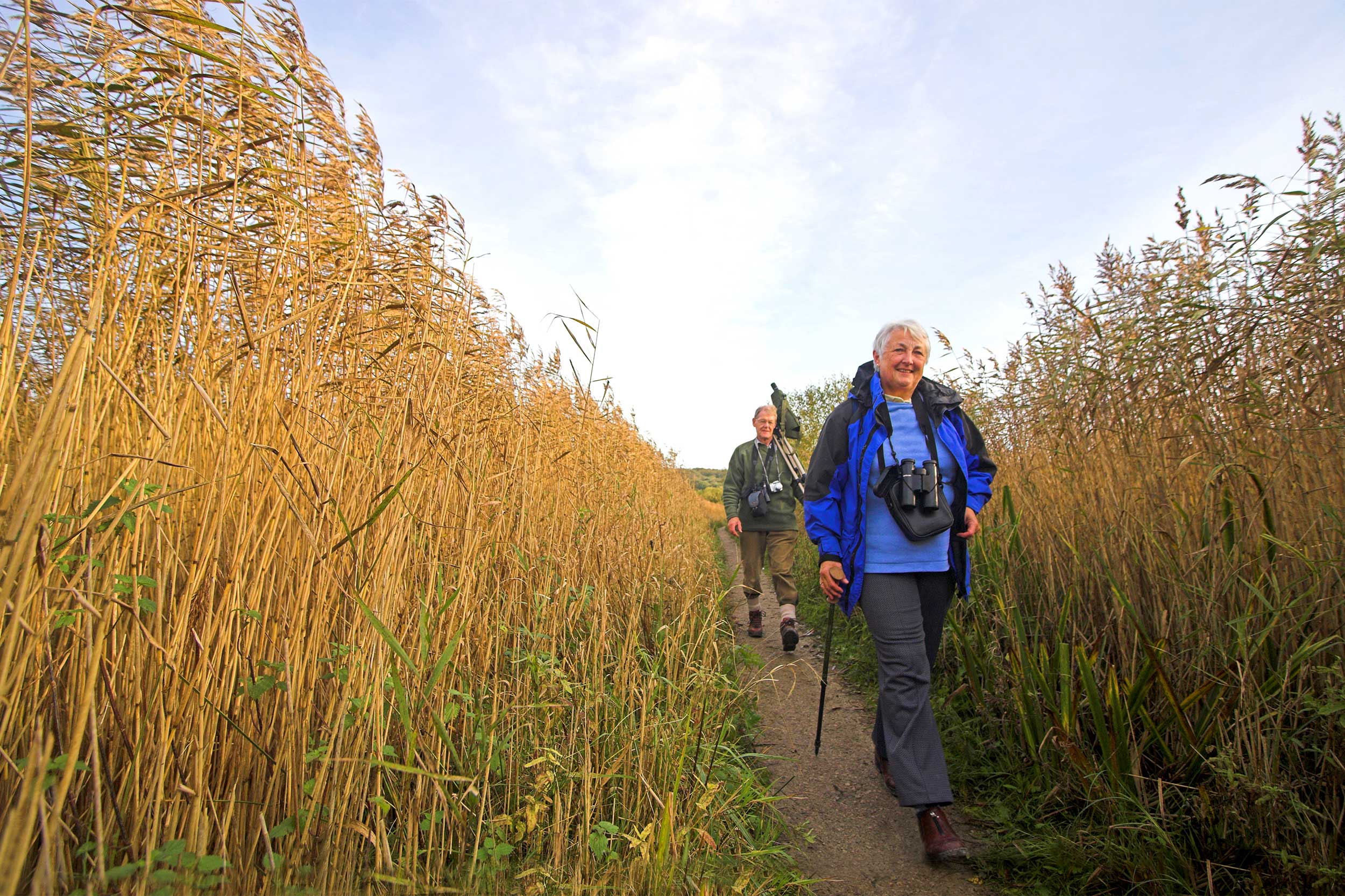 Free entry for non-members during National Lottery Open Week. Two people walk through high grass.