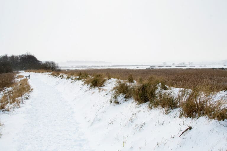 The West Bank path at RSPB Titchwell.