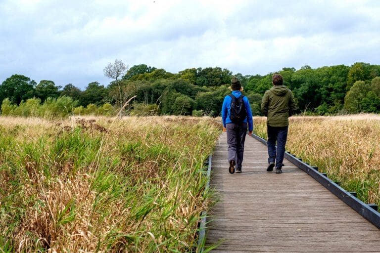 Couple walking at nature reserve