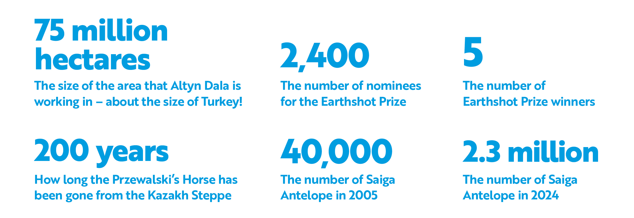 Earthshot stats