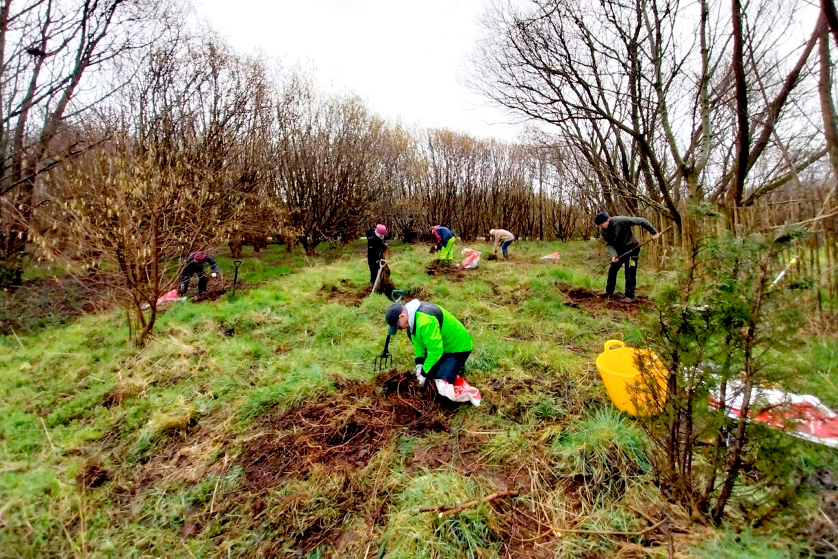 Volunteers hard at work at the Giving Corncrakes a Home nettle dig.