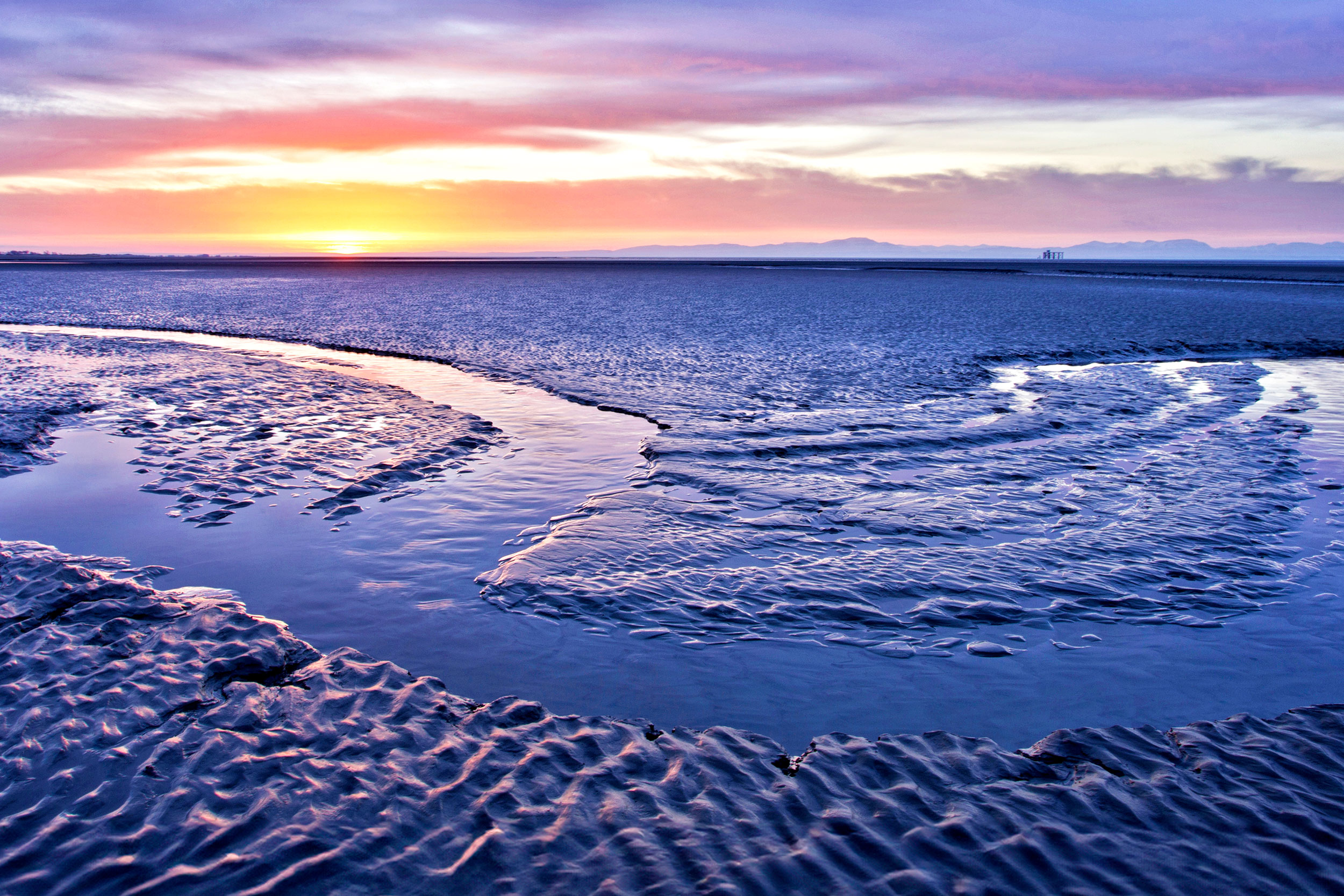 Coastal habitats such as mudflats are vital carbon sinks.