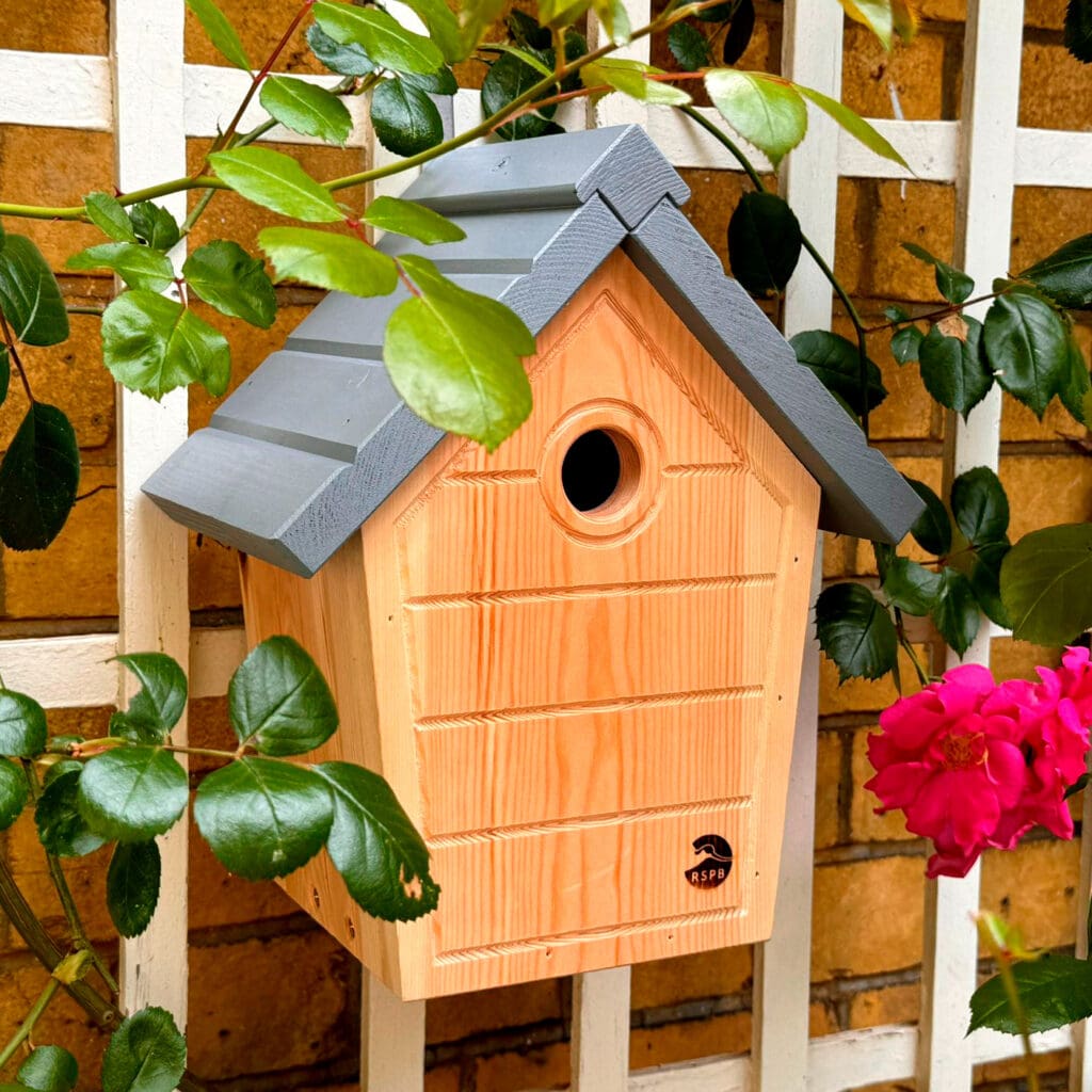 The RSPB’s cabin nest box on a trellis.