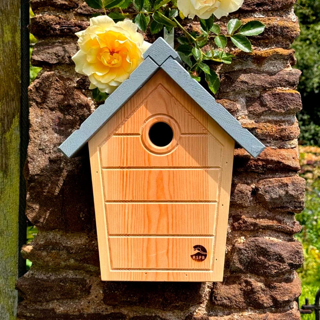 The RSPB’s cabin nest box on a stone wall.