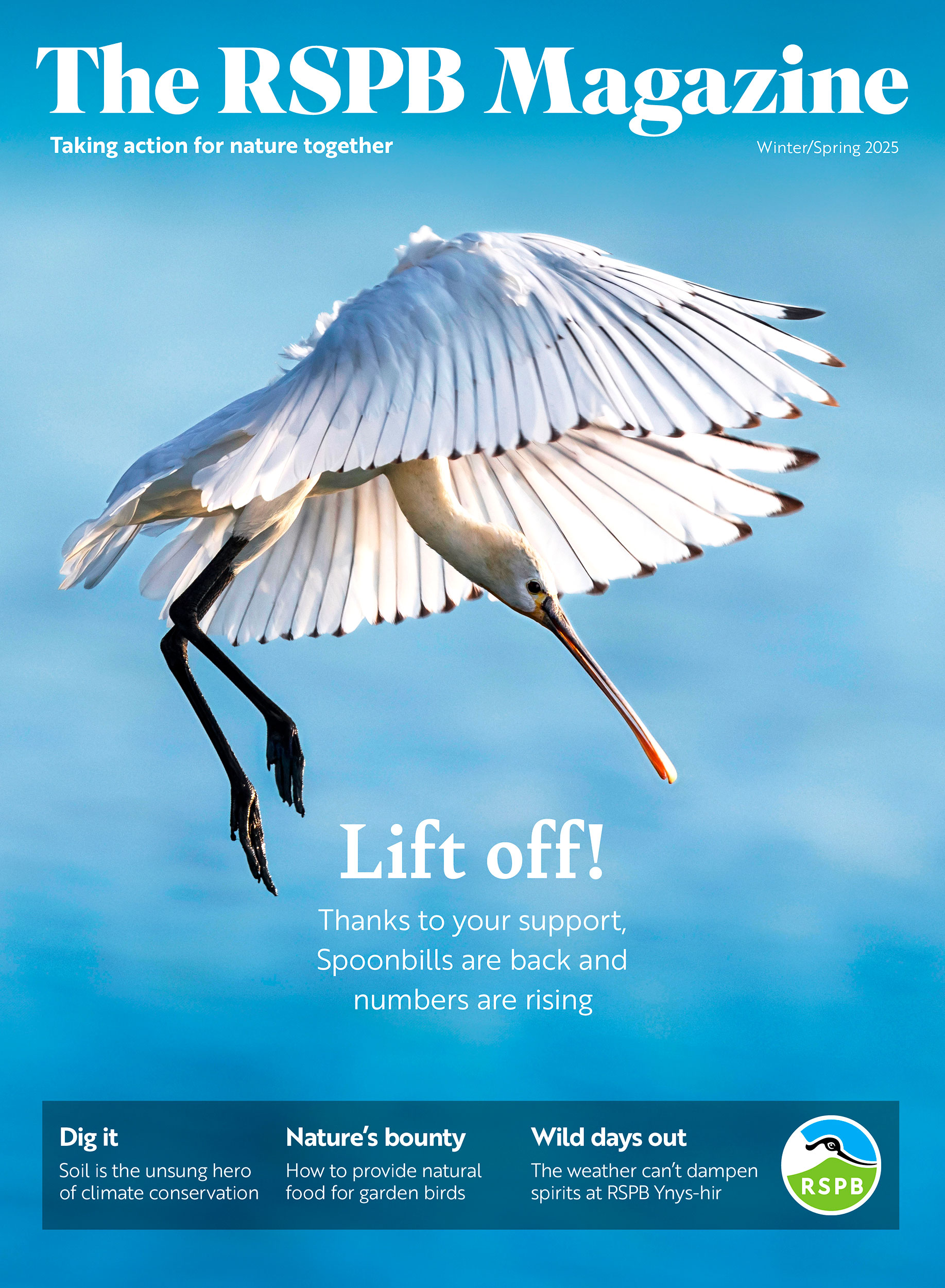 The RSPB Magazine Winter/Spring 2025 with flying spoonbill on the cover