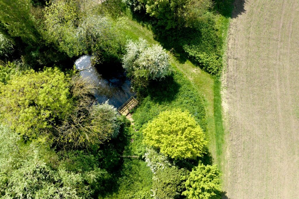 Aerial view of a farm pond surrounded by lush green vegetation and shrubs, summer day