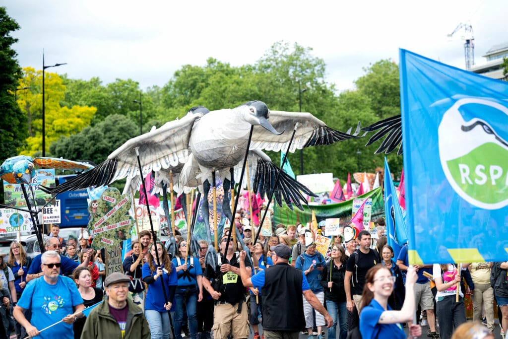 People taking part in a march, holding up the giant puppet of a black and white bird (an Avocet, the symbol of the RSPB).