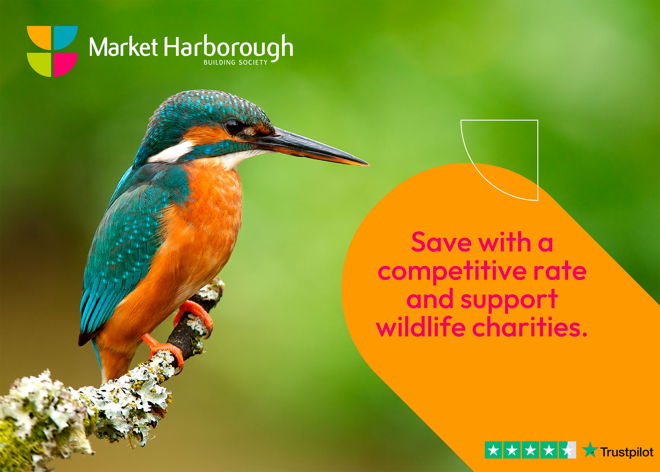A Kingfisher beside text that reads "Save with a competitive rate and support wildlife charities".