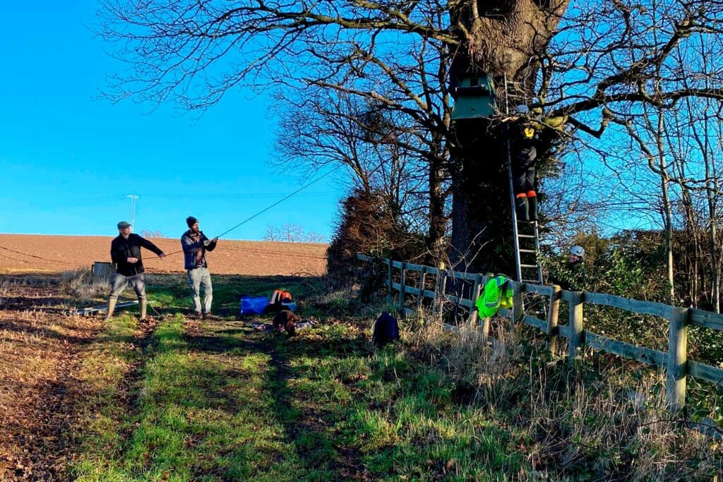 A group of people working together to position an owl nestbox in a tree, winter.