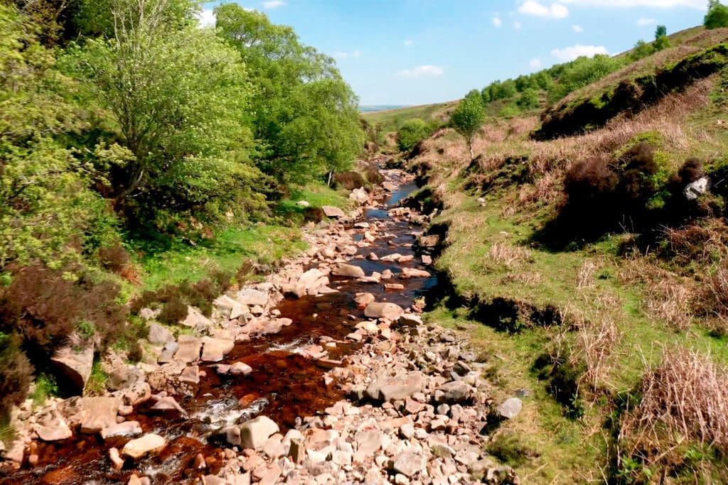 A stony brook running through a green valley, green trees on the left hand side