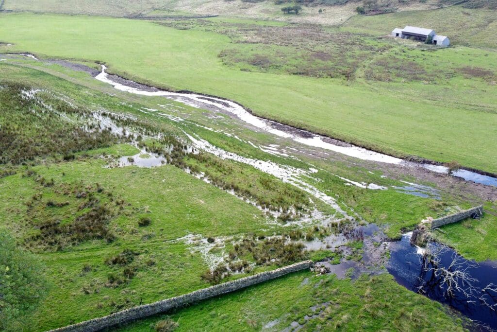 An aerial view of wetlands around a river, among green fields