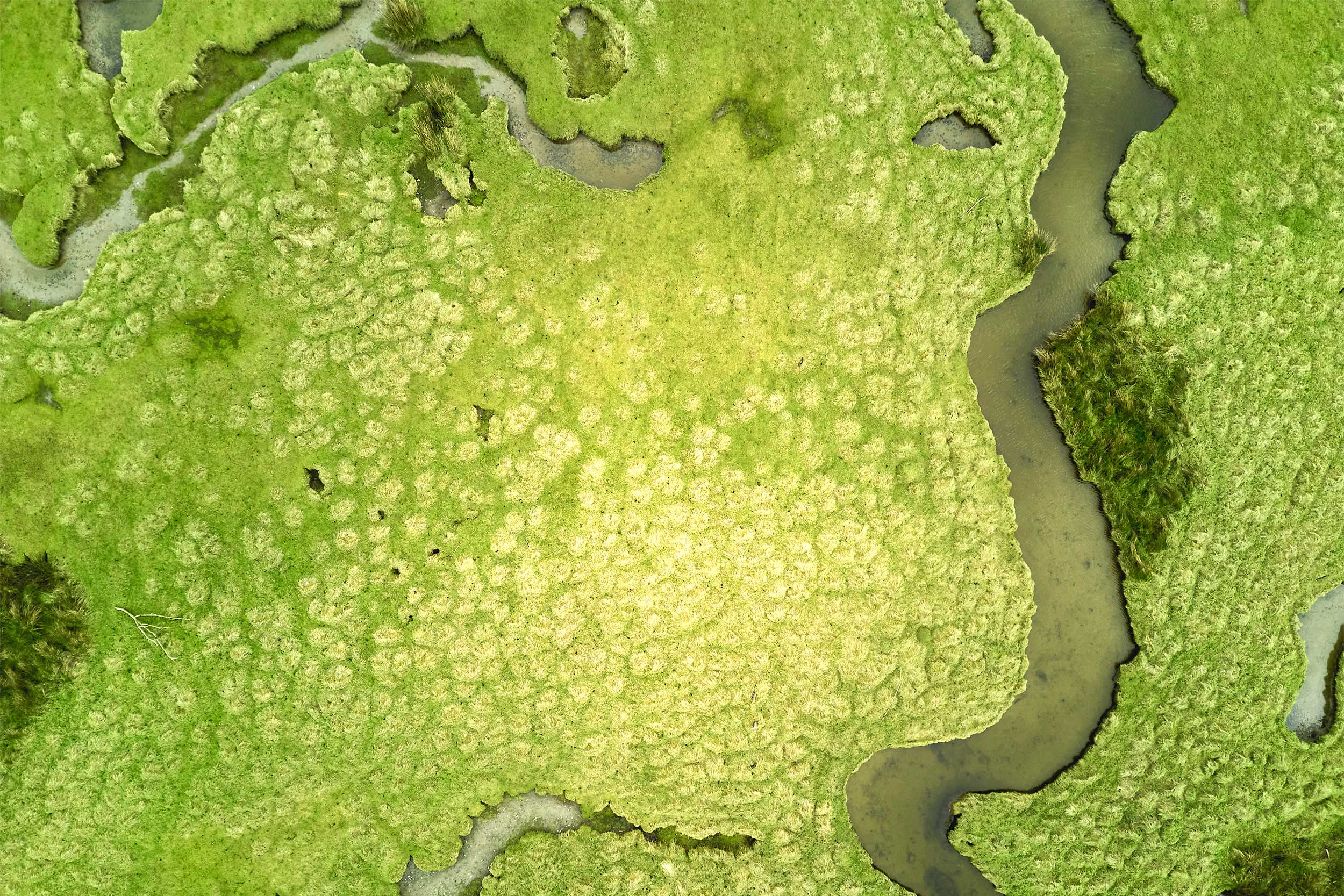 An aerial view of Ynys-hir RSPB reserve