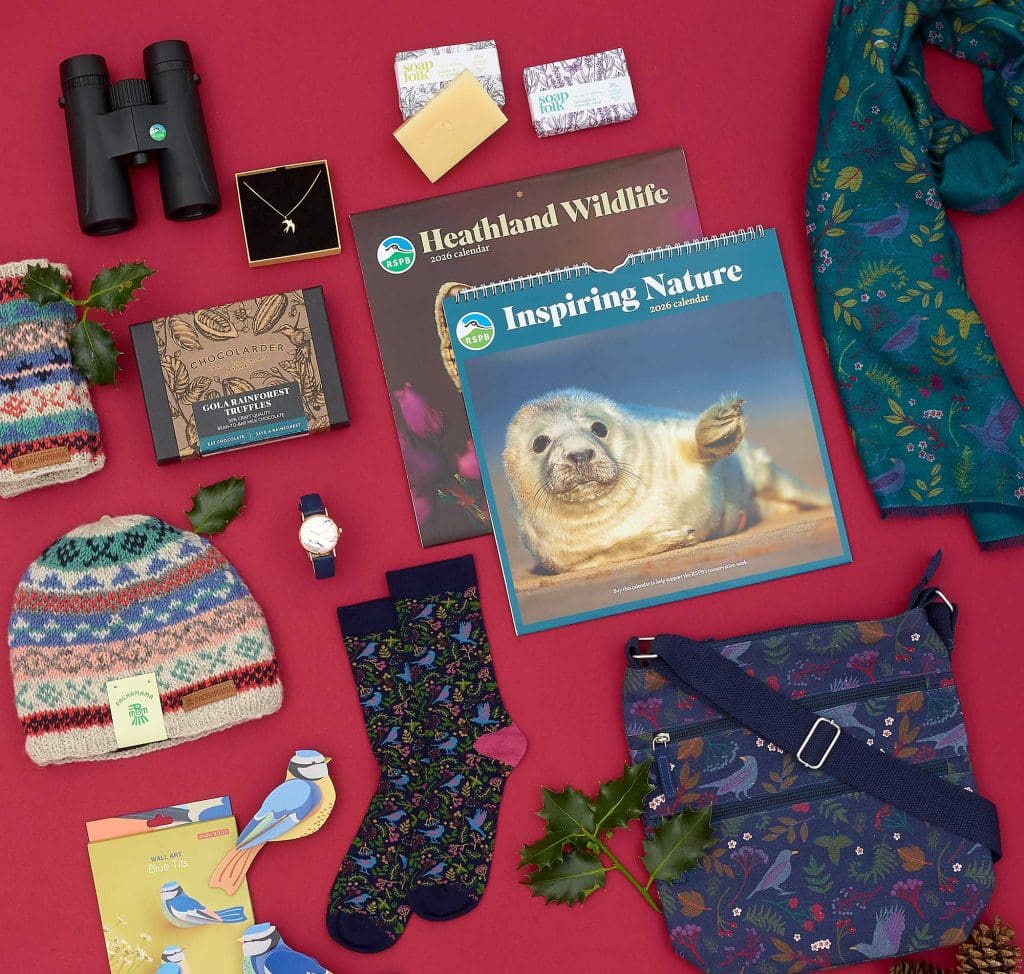 A range of festive gift ideas, including wildlife calendars and binoculars, on a red background.