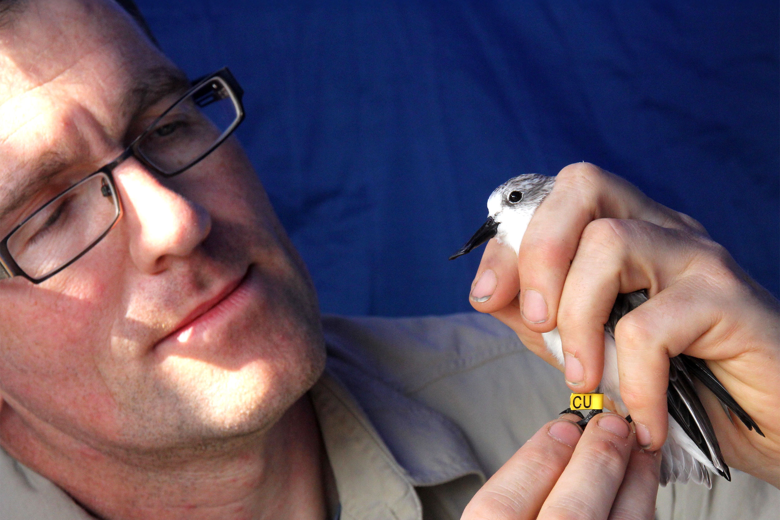 Guy Anderson holding a Spoon-billed Sandpiper