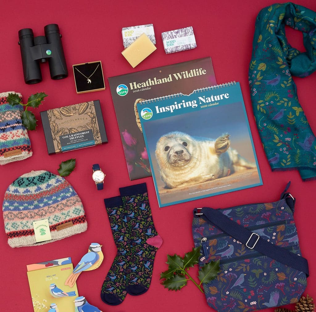 A range of festive gift ideas, including wildlife calendars and binoculars, on a red background.