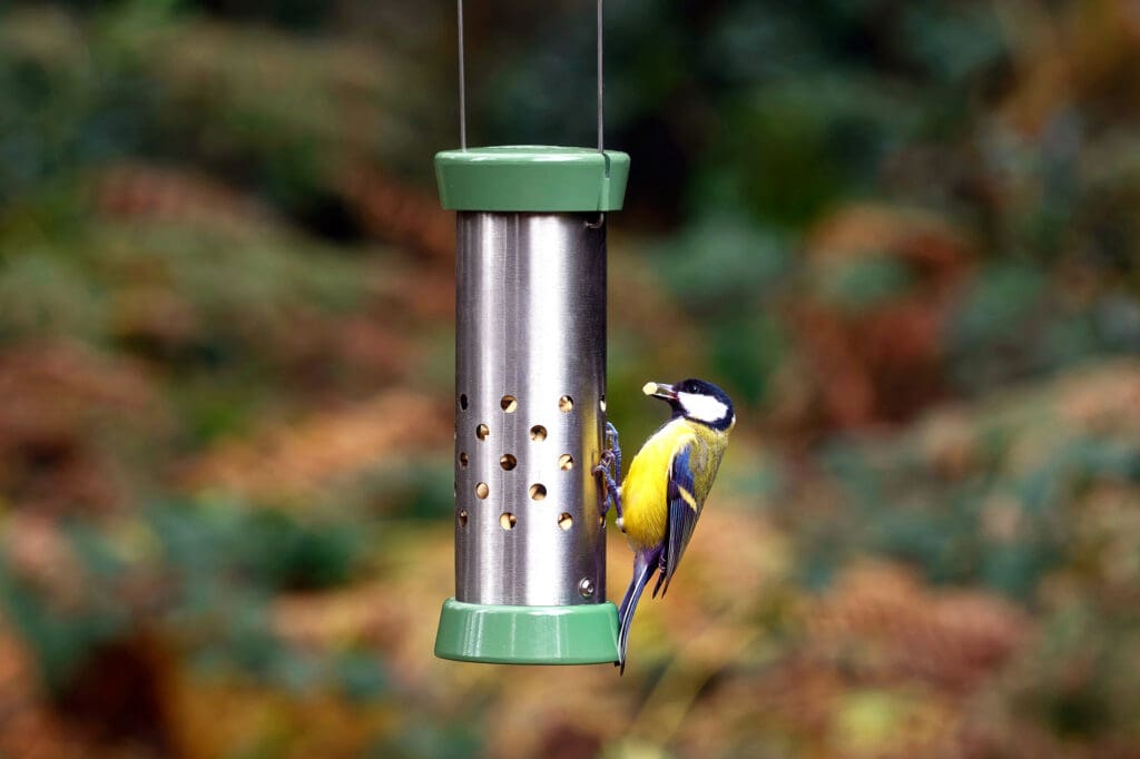 A Blue Tit using a birdfeeder.