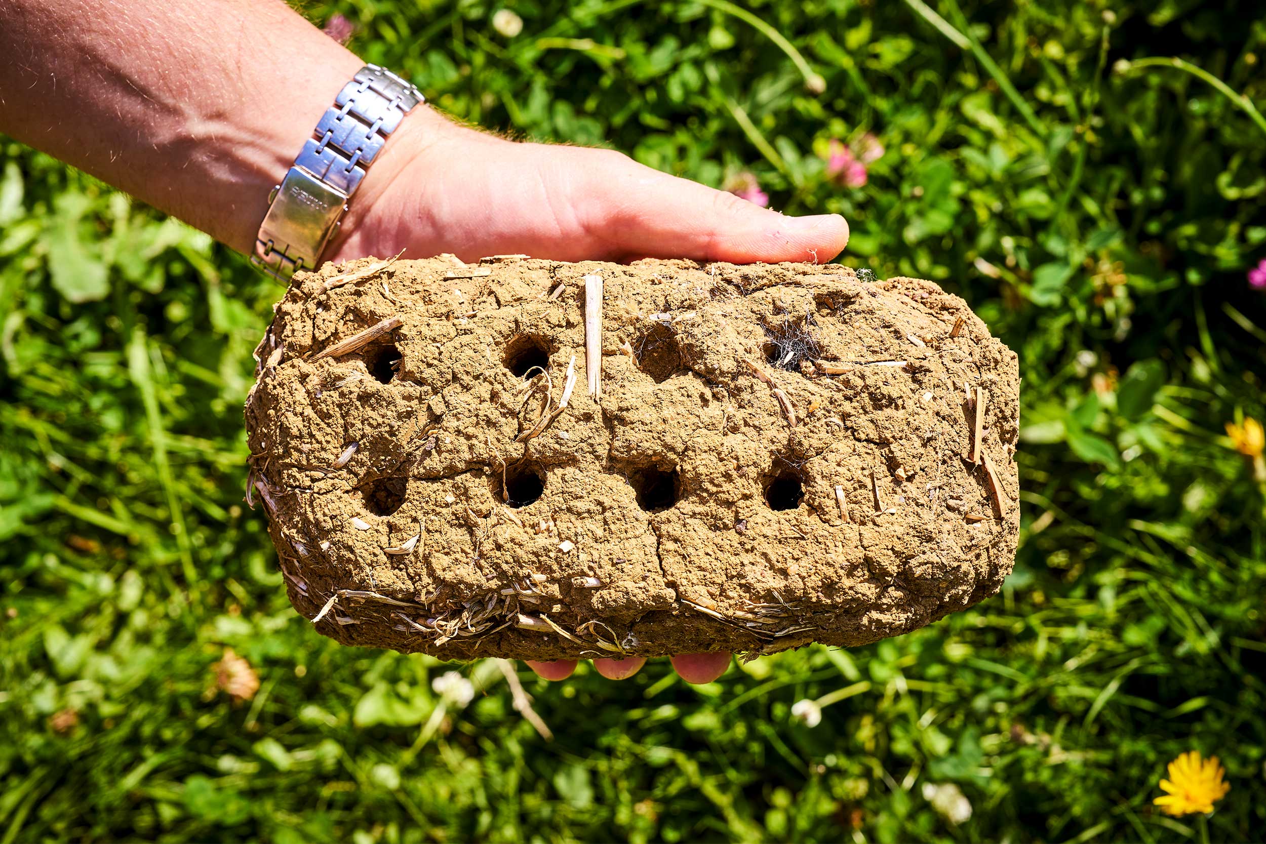 Homemade bee brick