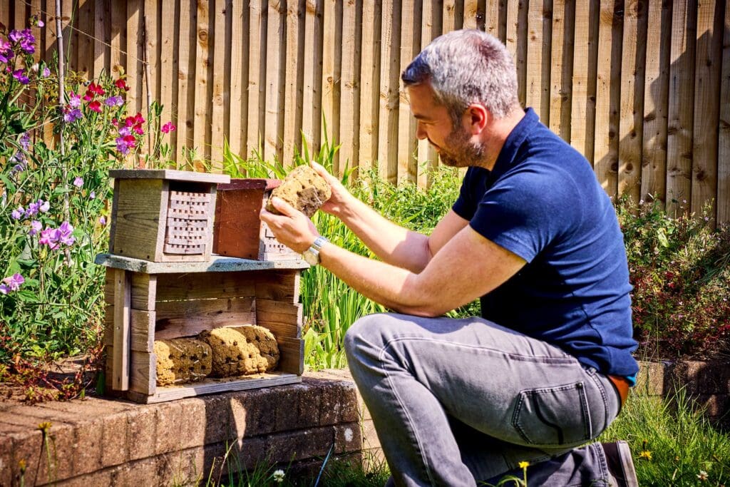 James and his bee hotels