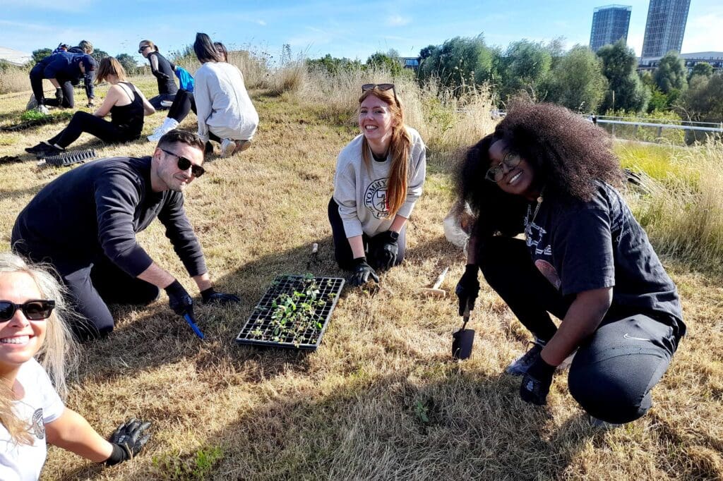 A group of people digging holes in grassland to plant small plants