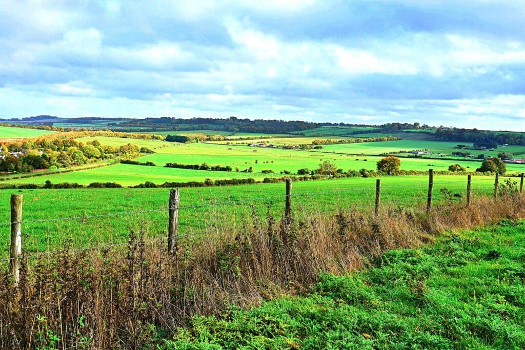 Roundbarrow Farm will be turned into an RSPB nature reserve