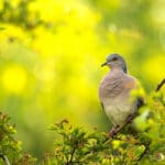 Previous Post Thumbnail