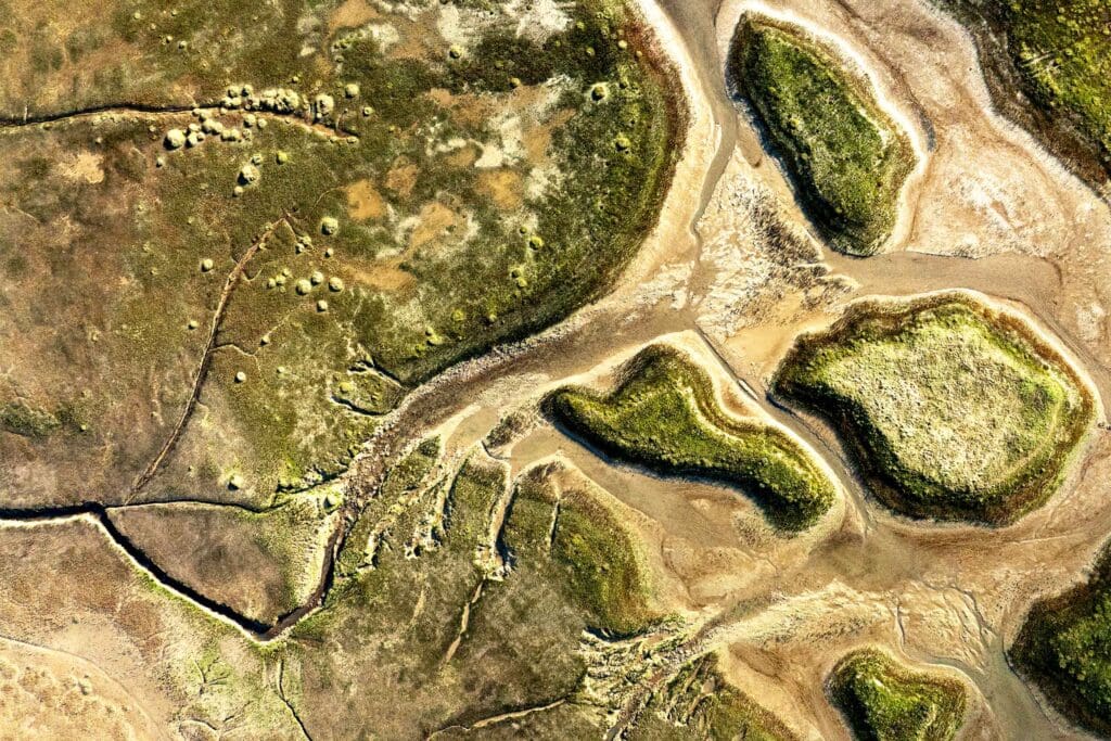 Wallasea will be expanded for nature.