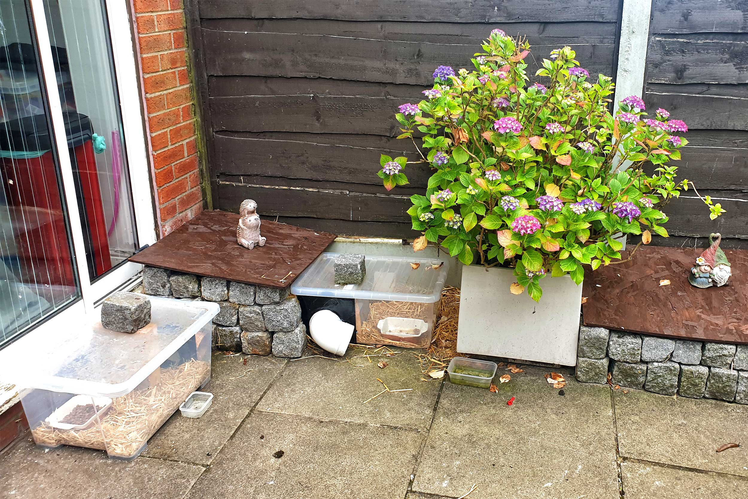 Sarah’s hedgehog houses.