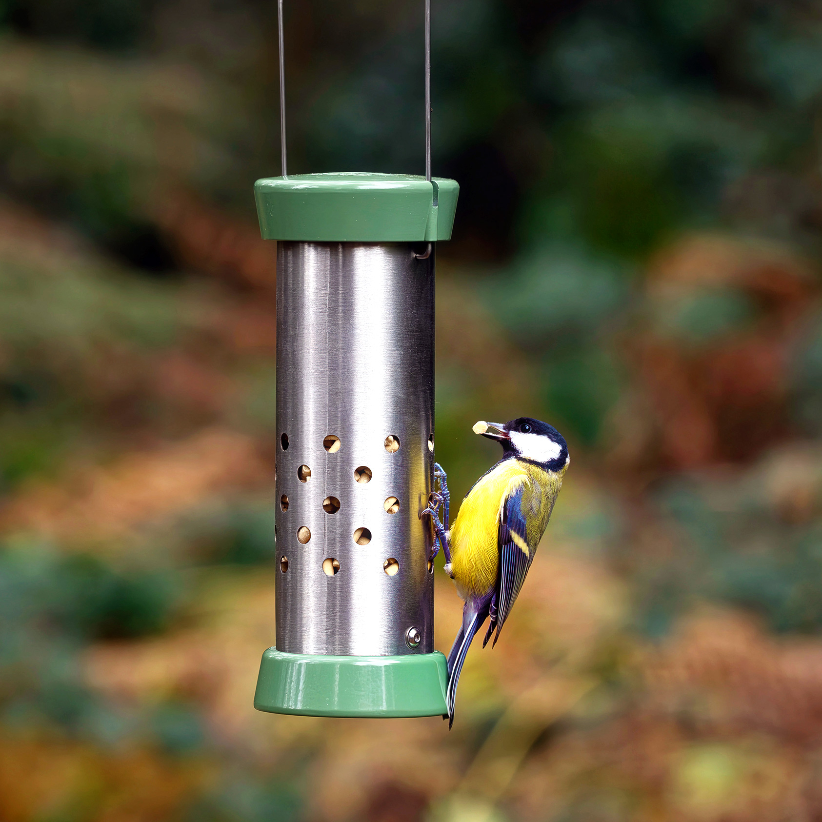 Birdfeeder