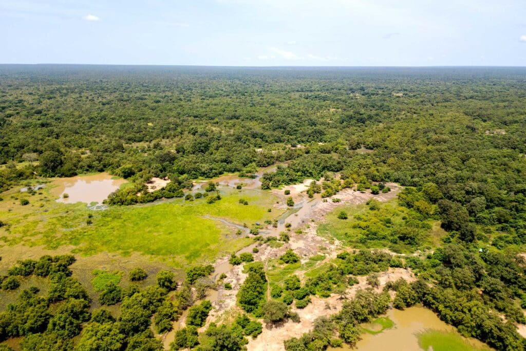 An aerial view of Mole National Park